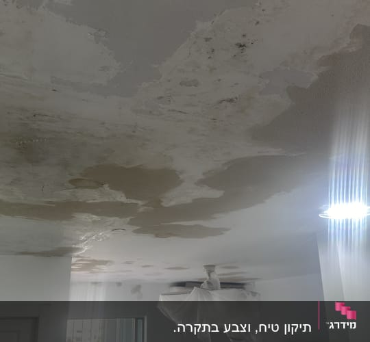 תיקון טיח, וצבע בתקרה. 